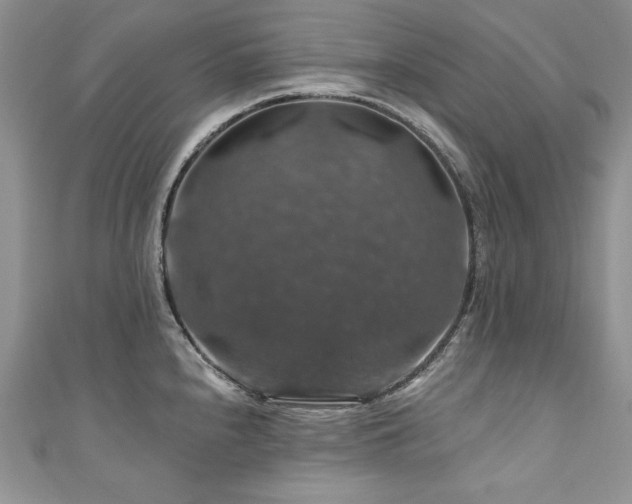 X0000111201240200907011426