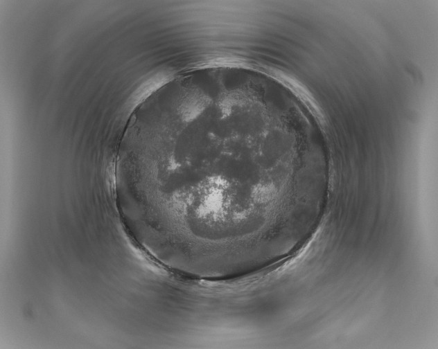 X0000111201241200907011426