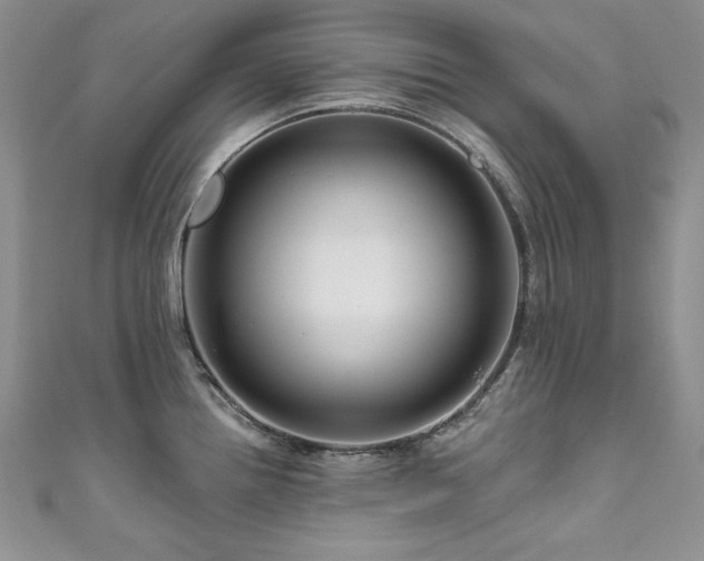 X0000111201242200907011426