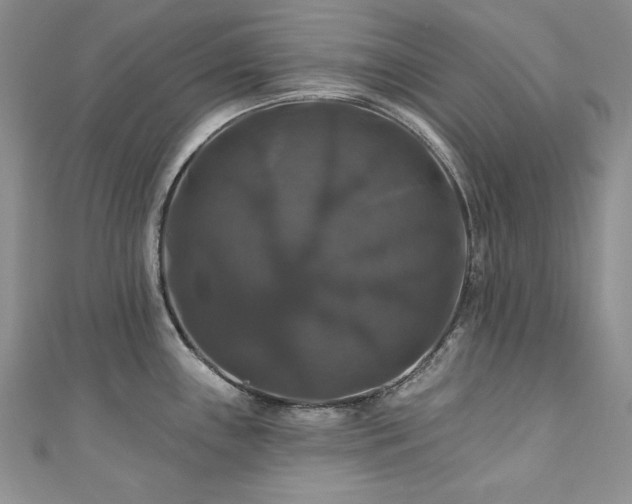 X0000111201243200907011426