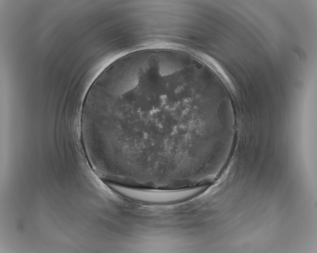 X0000111201244200907011426