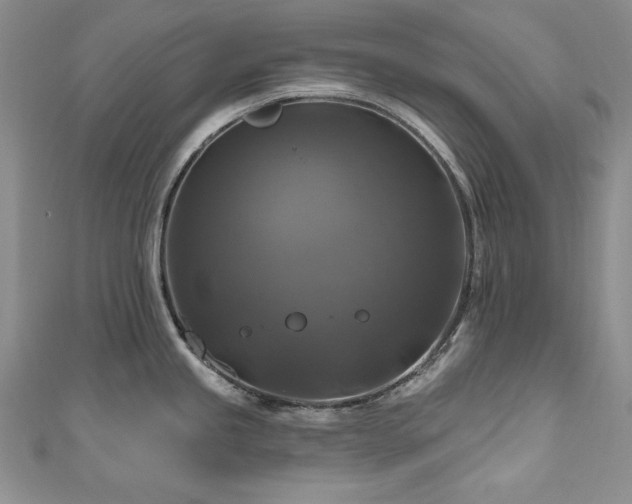 X0000111201245200907011426