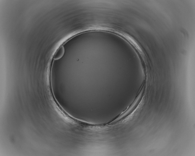 X0000111201246200907011426