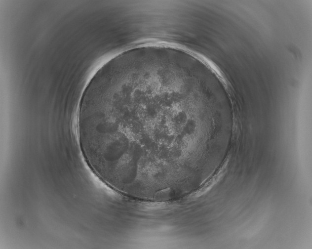 X0000111201247200907011426