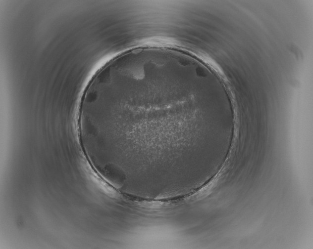 X0000111201248200907011426