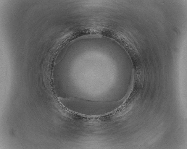 X0000111201249200907011426