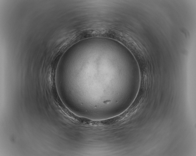 X0000111201250200907011426