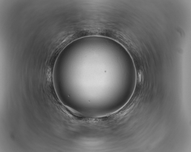 X0000111201251200907011425