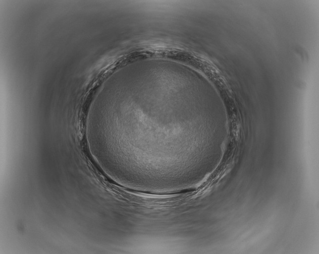 X0000111201253200907011425