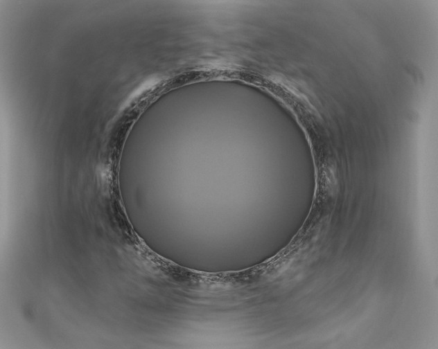 X0000111201254200907011425
