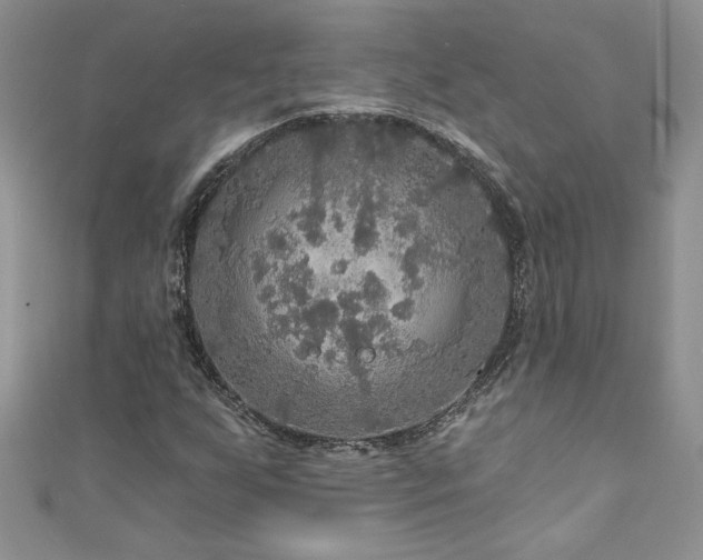 X0000111201255200907011425