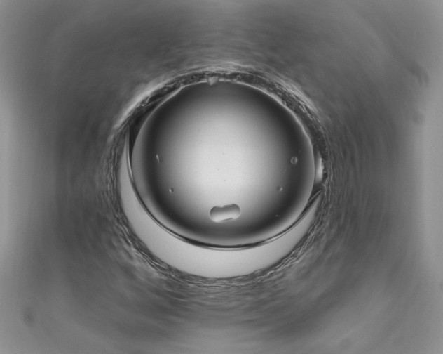 X0000111201256200907011425