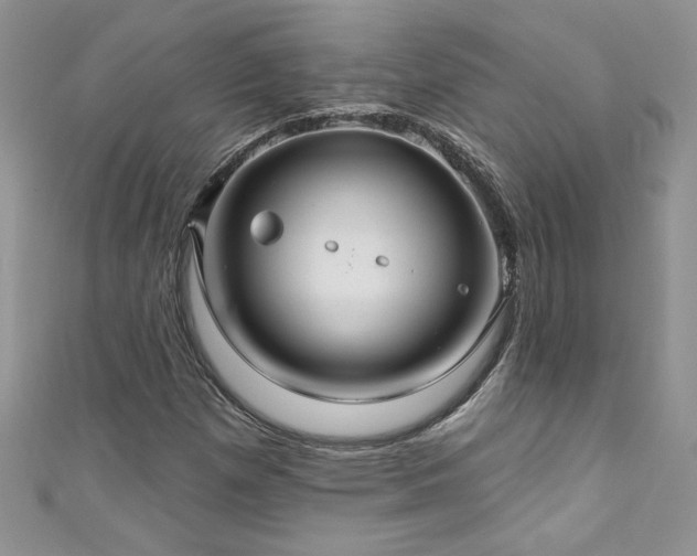 X0000111201257200907011425