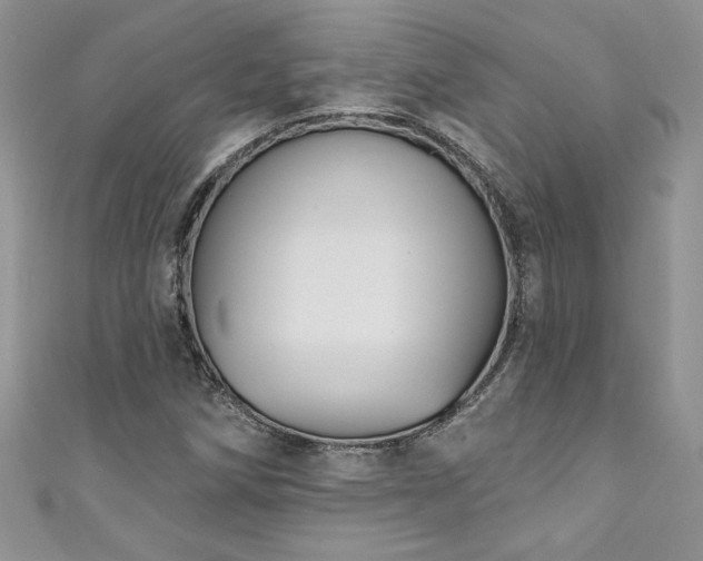 X0000111201258200907011425