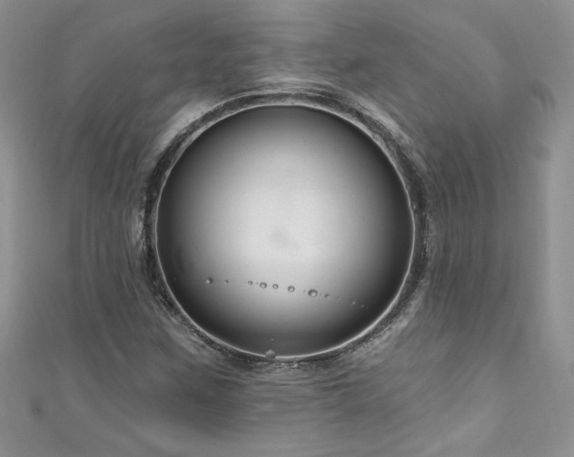 X0000111201259200907011425
