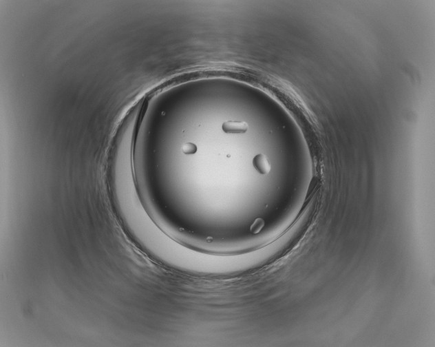 X0000111201260200907011425