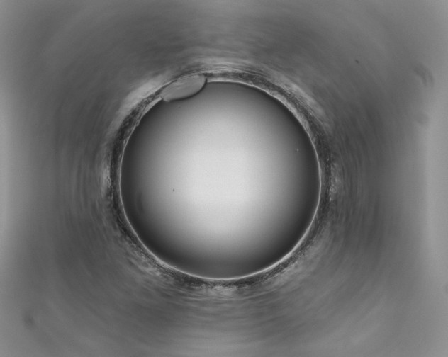 X0000111201261200907011425