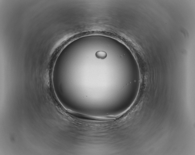 X0000111201262200907011425