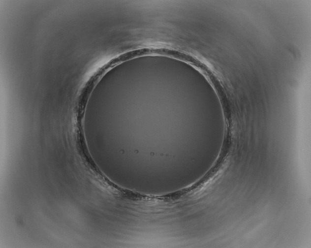 X0000111201263200907011425
