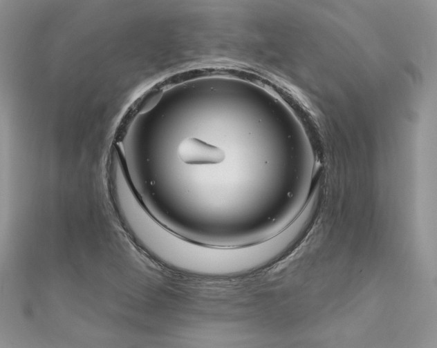 X0000111201264200907011425