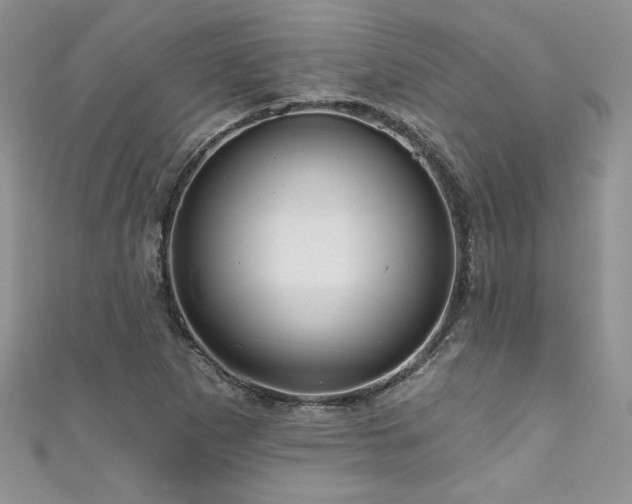 X0000111201265200907011425