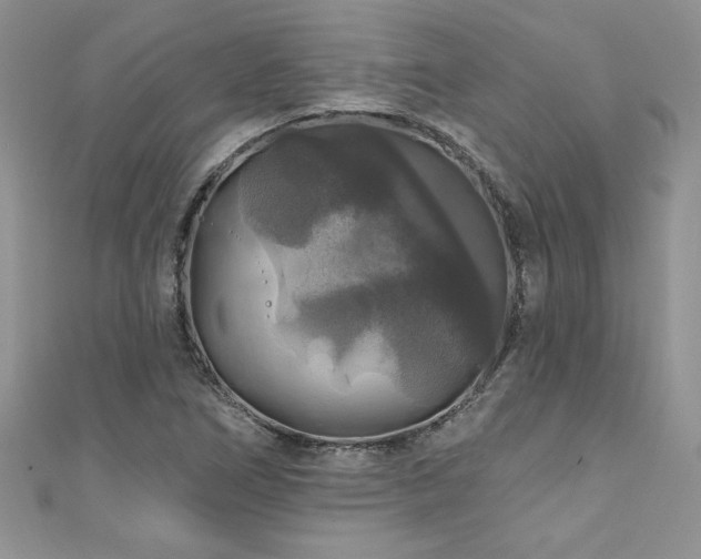 X0000111201266200907011425