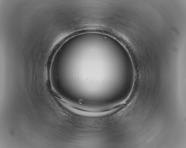 X0000111201267200907011425