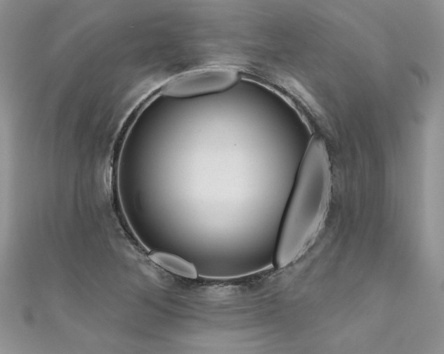 X0000111201268200907011425