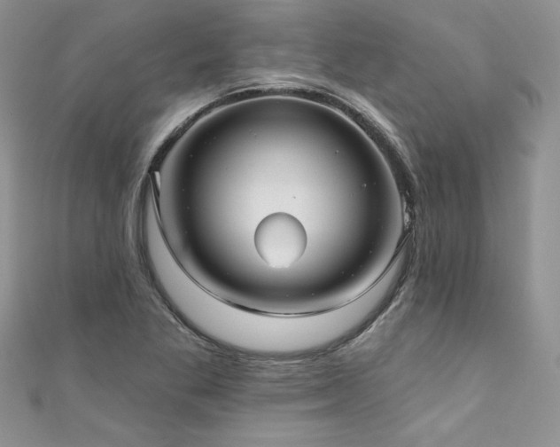 X0000111201269200907011425
