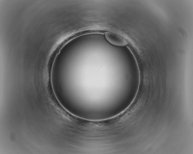 X0000111201270200907011425