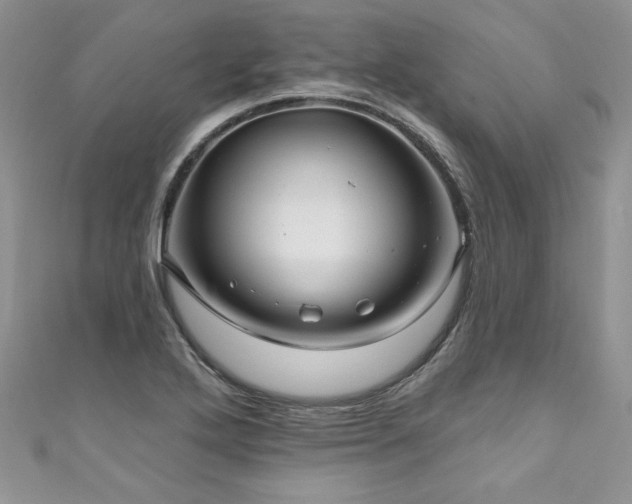 X0000111201272200907011425