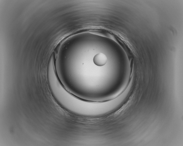 X0000111201273200907011425