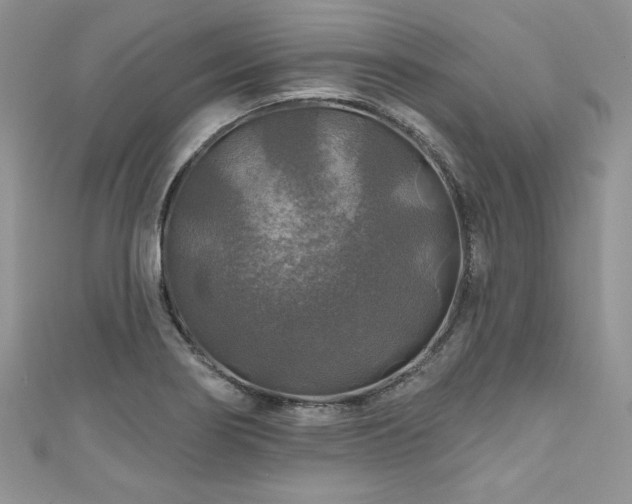 X0000111201274200907011425