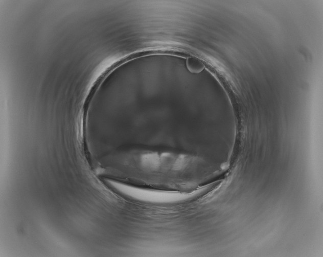 X0000111201275200907011425