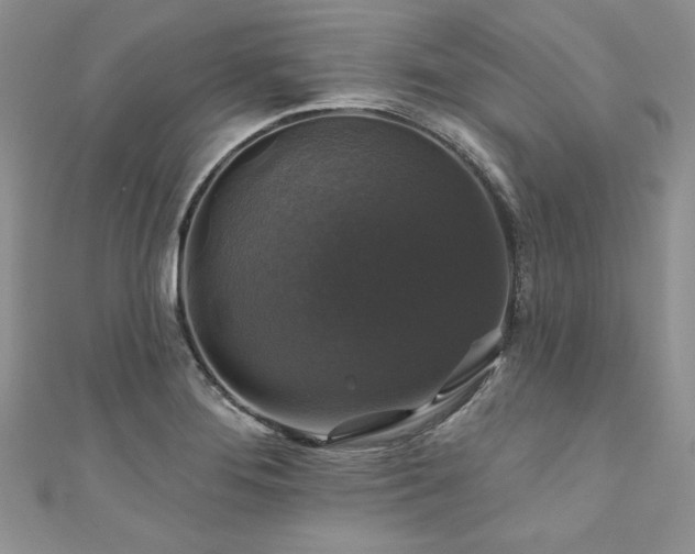 X0000111201276200907011425