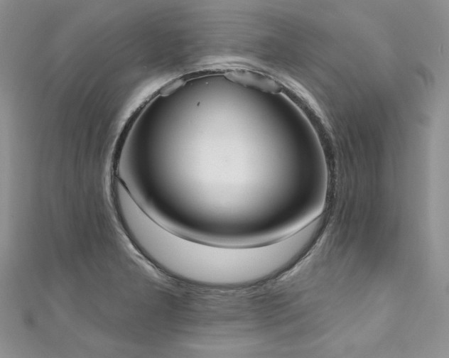 X0000111201277200907011425