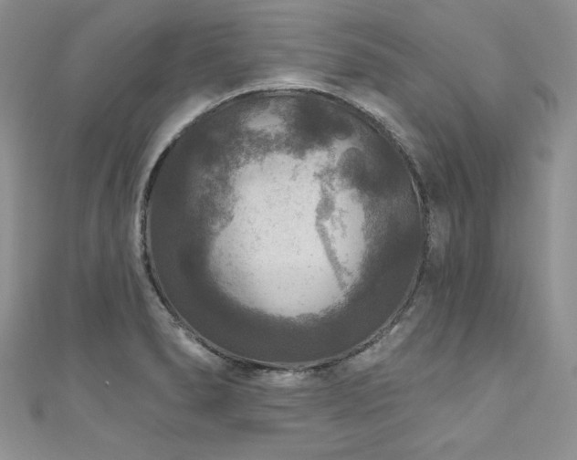 X0000111201278200907011425