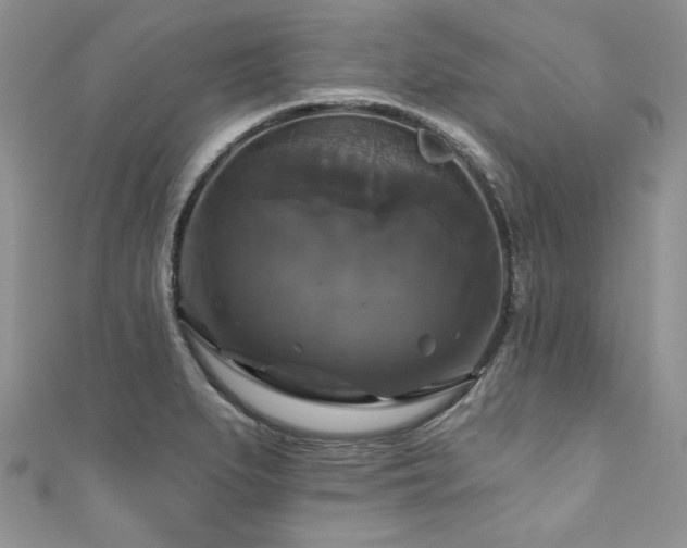 X0000111201279200907011425