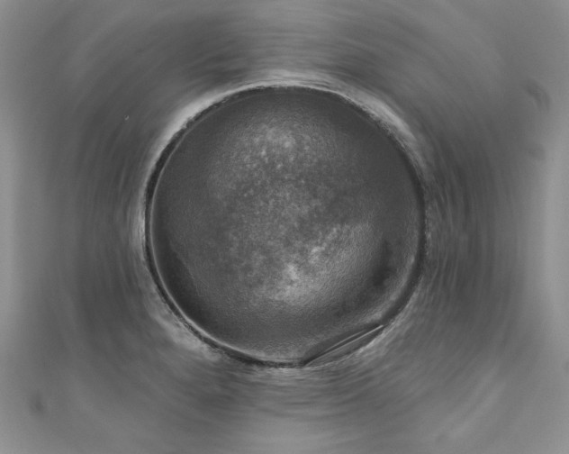 X0000111201280200907011425