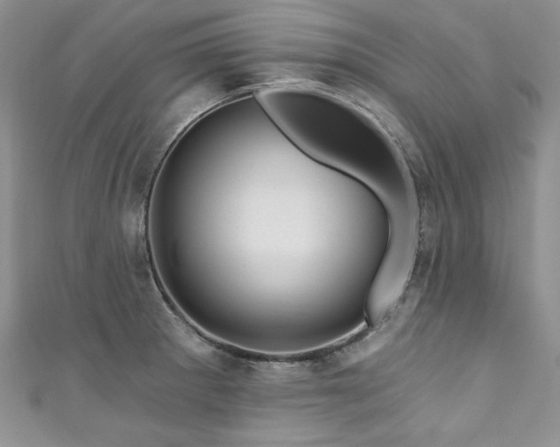 X0000111201281200907011425