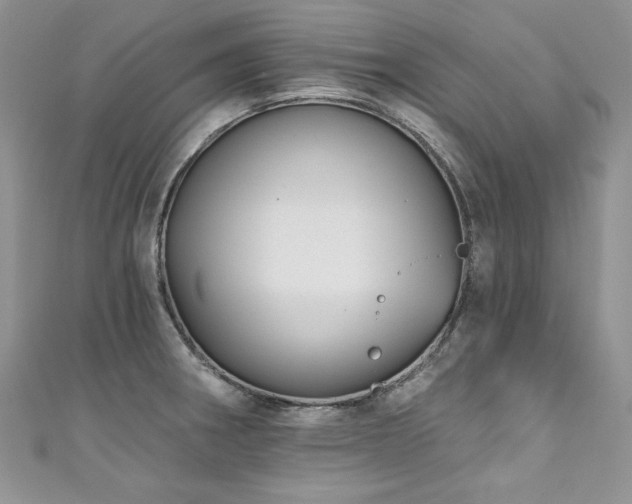 X0000111201282200907011425