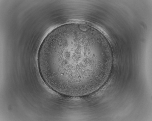 X0000111201283200907011425