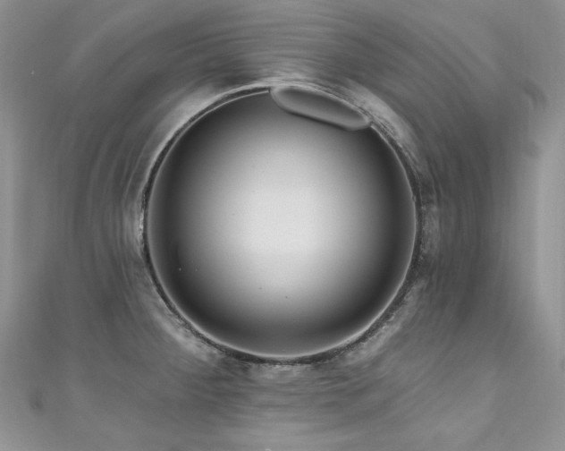 X0000111201284200907011425