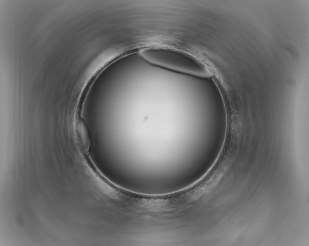 X0000111201285200907011425
