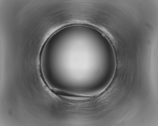 X0000111201287200907011425