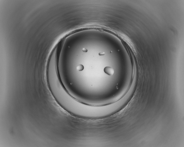 X0000111201288200907011425
