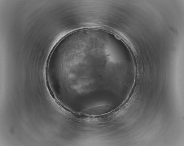 X0000111201291200907011425