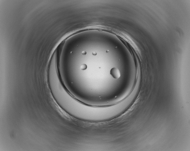 X0000111201292200907011425