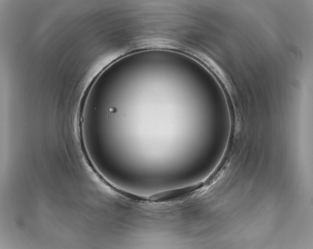X0000111201293200907011425