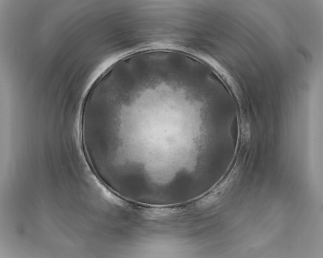 X0000111201294200907011425